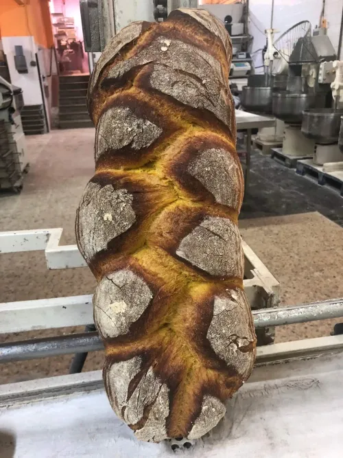 Orígenes de Cal Forner